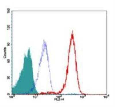 Flow Cytometry: TRF-2 Antibody (4A794.15) - BSA Free [NB100-56506]