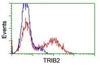 Flow Cytometry: TRIB2 Antibody (OTI8D11) - Azide and BSA Free [NBP2-74597]