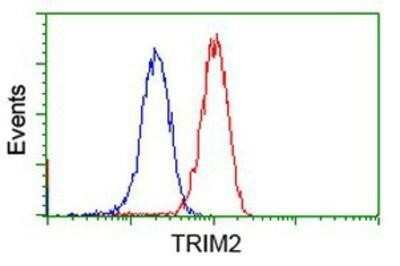 Flow Cytometry: TRIM2 Antibody (OTI2B10) - Azide and BSA Free [NBP2-74606]