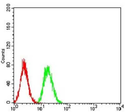 ELISA: TRIM25 Antibody (5B5B12) - BSA Free [NBP2-61814]