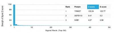 Protein Array: TRIM27 Antibody (PCRP-TRIM27-1B3) [NBP3-07415]