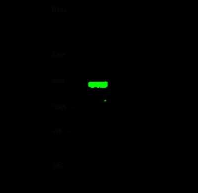 Western Blot: TRIM37 Antibody [NBP2-98831]