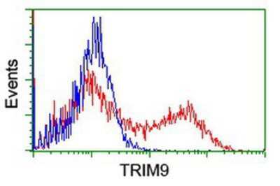 Flow Cytometry: TRIM9 Antibody (OTI2D6) [NBP2-03794]