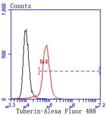 Flow Cytometry: TSC2 Antibody (SC05-59) [NBP2-67552]