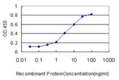 ELISA: TSC22D4 Antibody (3C5) [H00081628-M06]