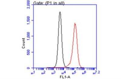 Flow Cytometry: TSG101 Antibody (4A10) [NB200-112]