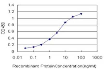 ELISA: TSSK1 Antibody (4F12) [H00083942-M01]