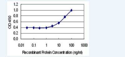 ELISA: TTC9C Antibody (7H10) [H00283237-M06-100ug]