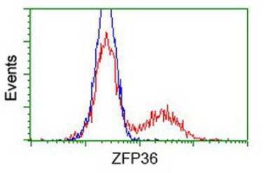 Flow Cytometry: TTP Antibody (OTI8B5) [NBP2-02105]