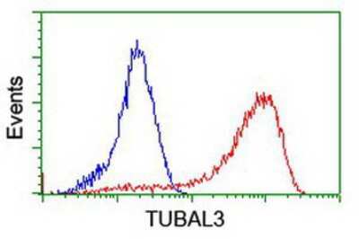 Flow Cytometry: TUBAL3 Antibody (OTI4C5) [NBP2-01476]