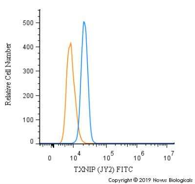 Flow Cytometry: TXNIP Antibody (JY2) - Azide and BSA Free [NBP1-54578]