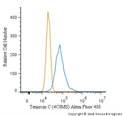 Flow Cytometry: Tenascin C Antibody (4C8MS) - BSA Free [NB110-68136]