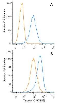 Flow (Intracellular): Tenascin C Antibody (4C8MS) - BSA Free [NB110-68136]
