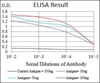 ELISA: TfR (Transferrin R) Antibody (1A1B2) - BSA Free [NBP2-37317]