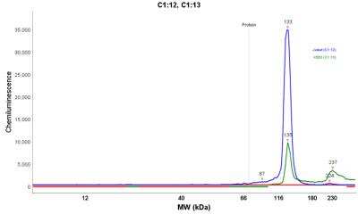 Simple Western: TfR (Transferrin R) Antibody (DF1513) [NBP2-32945]