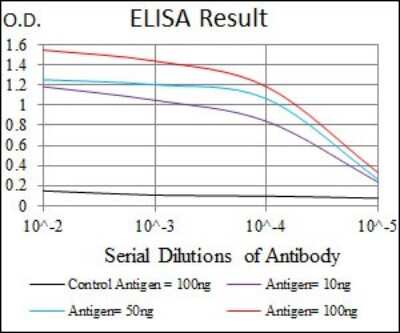 ELISA: Thrombopoietin R/Tpo R Antibody (1H2) - BSA Free [NBP2-37529]