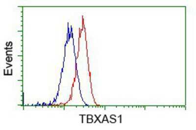 Flow Cytometry: Thromboxane synthase Antibody (OTI2C1) [NBP2-02710]