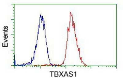 Flow Cytometry: Thromboxane synthase Antibody (OTI2C1) [NBP2-02710]