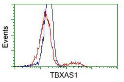 Flow Cytometry: Thromboxane synthase Antibody (OTI2C1) [NBP2-02710]