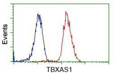 Flow Cytometry: Thromboxane synthase Antibody (OTI2C1) - Azide and BSA Free [NBP2-74505]