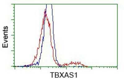 Flow Cytometry: Thromboxane synthase Antibody (OTI2C1) - Azide and BSA Free [NBP2-74505]