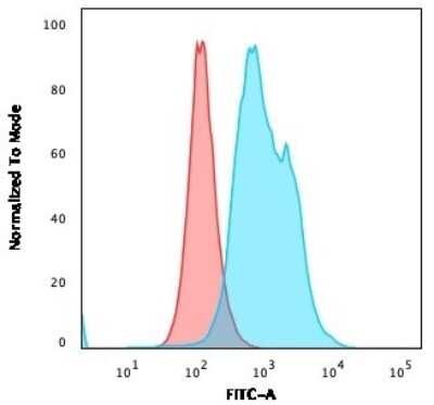 Flow Cytometry: Thymidylate Synthase Antibody (TYMS/1884) - Azide and BSA Free [NBP3-08882]