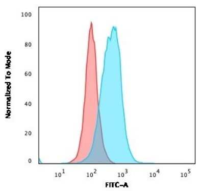 Flow Cytometry: Thymidylate Synthase Antibody (TYMS/1884) - Azide and BSA Free [NBP3-08882]