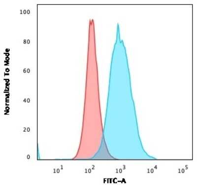 Flow Cytometry: Thymidylate Synthase Antibody (rTYMS/1884) - Azide and BSA Free [NBP3-08887]