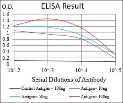 ELISA: Tie-1 Antibody (8D12D2) - BSA Free [NBP2-37267]