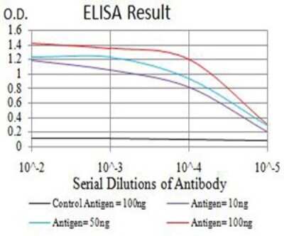 ELISA: Toxoplasma gondii ROP1 Antibody (3D4B2) - BSA Free [NBP2-61906]