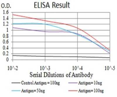 ELISA: Toxoplasma gondii ROP1 Antibody (4A7E12) - BSA Free [NBP2-61905]