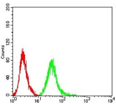 Flow Cytometry: Toxoplasma gondii ROP1 Antibody (4A7E12) - BSA Free [NBP2-61905]