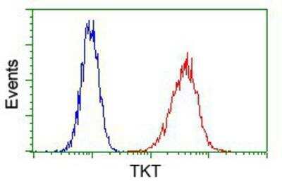 Flow Cytometry: Transketolase Antibody (OTI5H3) [NBP2-02292]