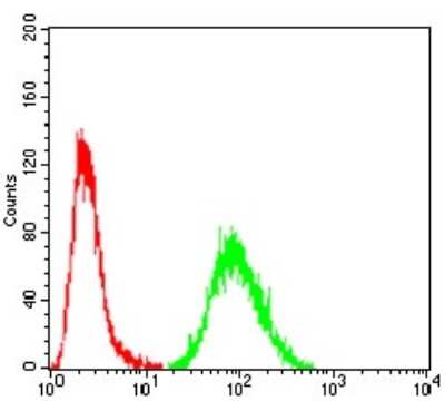 Flow Cytometry: Transthyretin/Prealbumin Antibody (2E10C5) - BSA Free [NBP2-52575]