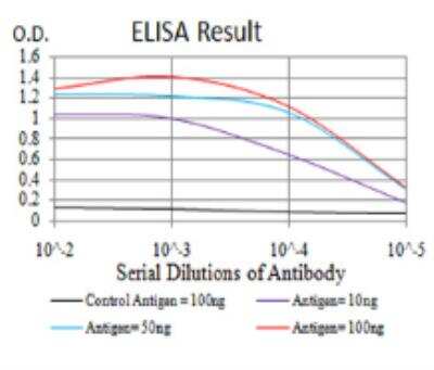 ELISA: TrkB Antibody (8D2E8) - BSA Free [NBP2-52523]