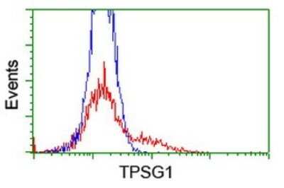 Flow Cytometry: Tryptase gamma-1/TPSG1 Antibody (OTI1E11) [NBP2-46197]