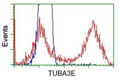 Flow Cytometry: Tubulin alpha-3E Antibody (OTI2A8) - Azide and BSA Free [NBP2-74704]