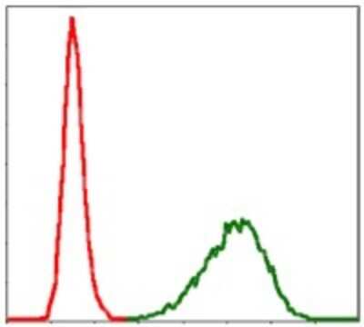 Flow Cytometry: Tubulin alpha-8 Antibody (2D6) - BSA Free [NBP2-37535]