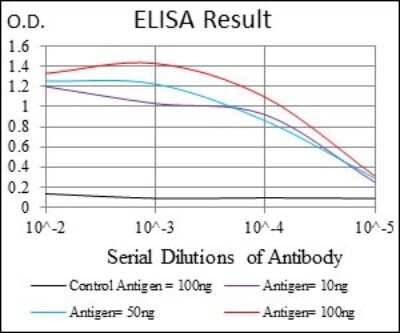 ELISA: Twist-1 Antibody (10E4E6) - BSA Free [NBP2-37364]