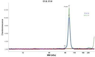 Simple Western: UAF1/WDR48 Antibody [NBP1-81404]