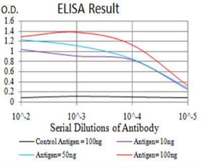 ELISA: UAP56 Antibody (2F5G7) - BSA Free [NBP2-52455]