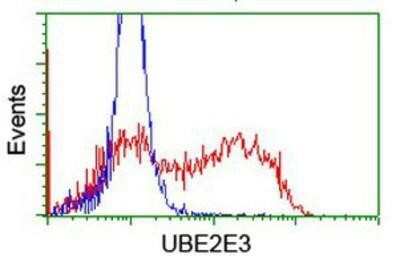 Flow Cytometry: UBE2E3 Antibody (OTI7E8) [NBP2-03819]