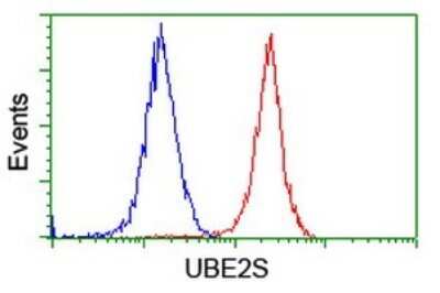 Flow Cytometry: UBE2S Antibody (OTI1B5) [NBP2-46279]