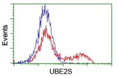 Flow Cytometry: UBE2S Antibody (OTI1B5) [NBP2-46279]