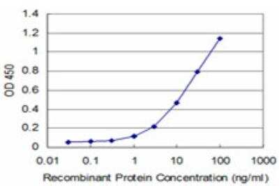 ELISA: UBTF Antibody (1A2) [H00007343-M03]