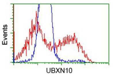 Flow Cytometry: UBXN10 Antibody (OTI1H5) [NBP2-02837]