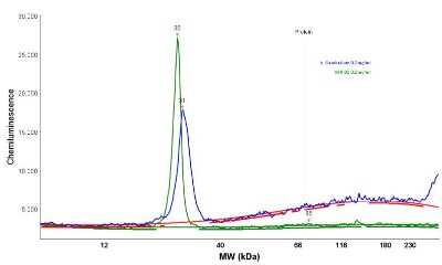 Simple Western: UCH-L1/PGP9.5 Antibody (31A3) [NB600-1160]