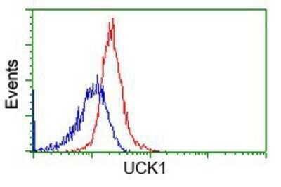 Flow Cytometry: UCK Antibody (OTI1A12) - Azide and BSA Free [NBP2-74779]