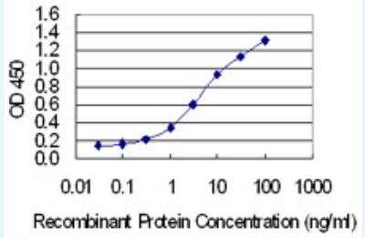 ELISA: UGT2B7 Antibody (8D12) [H00007364-M02-100ug]