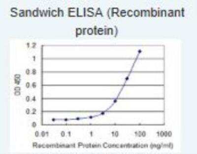 ELISA: UNC13D/Munc 13-4 Antibody (2C7) [H00201294-M05]